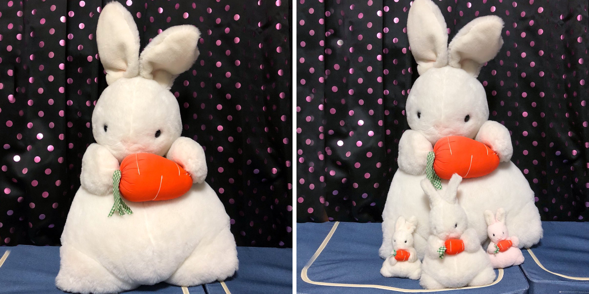 うさぎのぬいぐるみわーるど。 on X: 