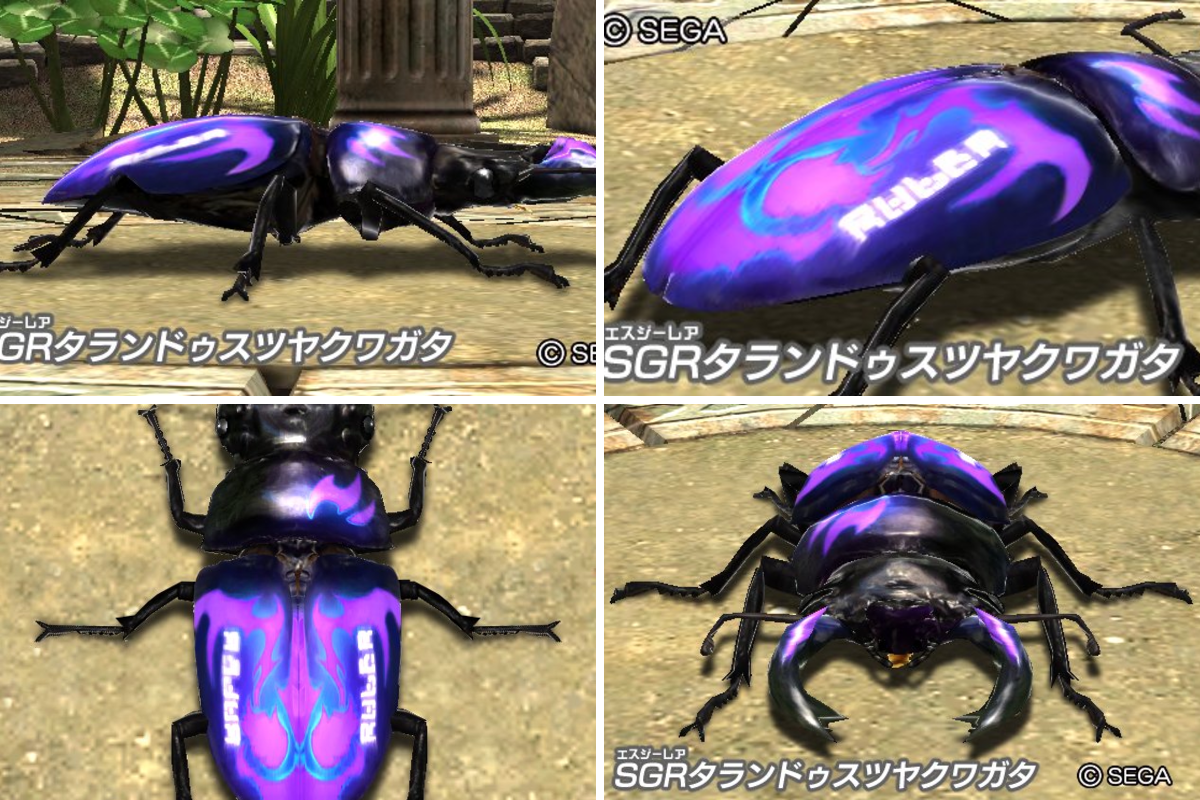 ムシキング公式アカウント on X: 