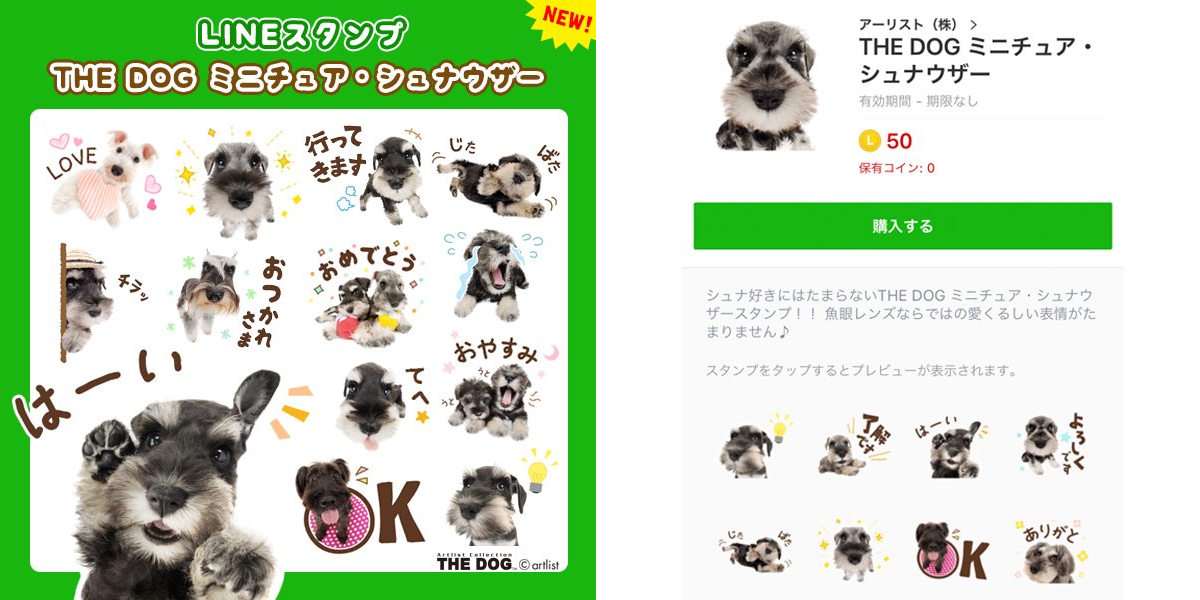 THE DOG and Friends【公式】 on X: 