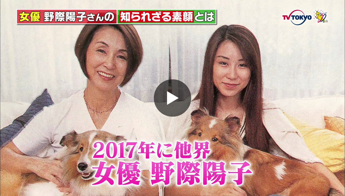 テレ東 on X: 