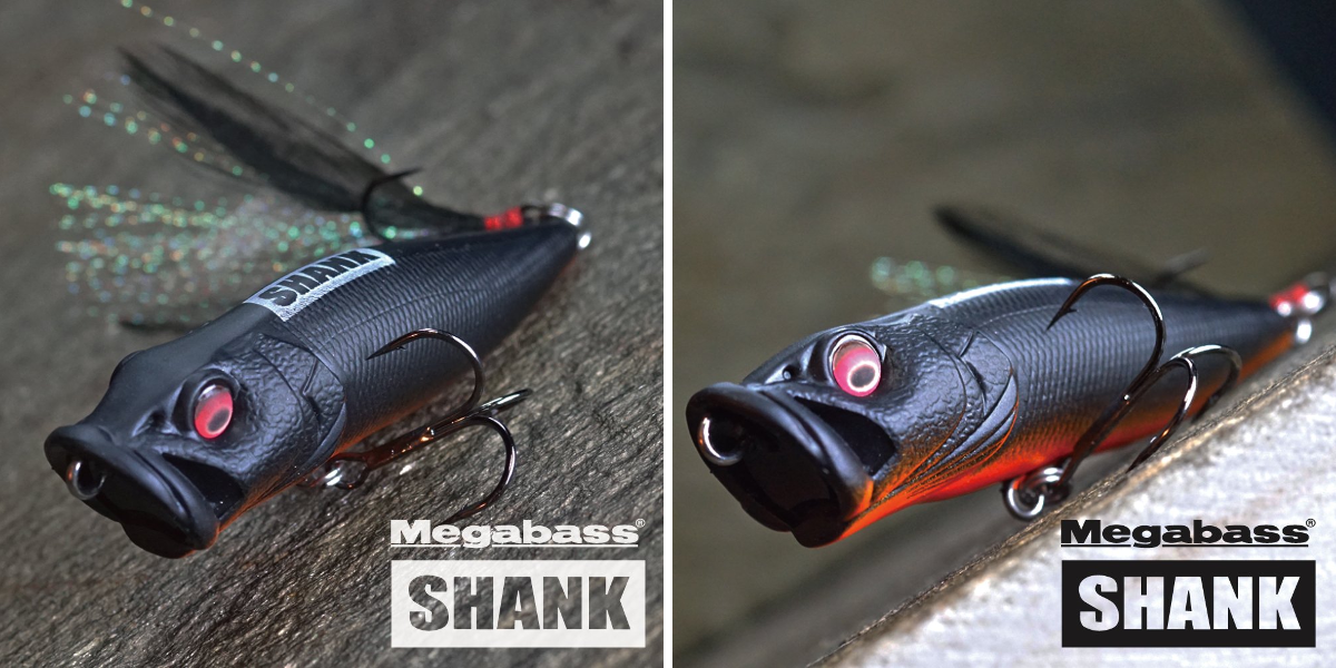 SHANK on X: 