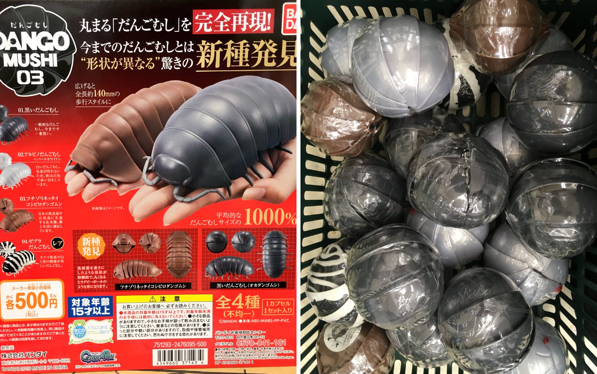ハンズ渋谷店 on X: 
