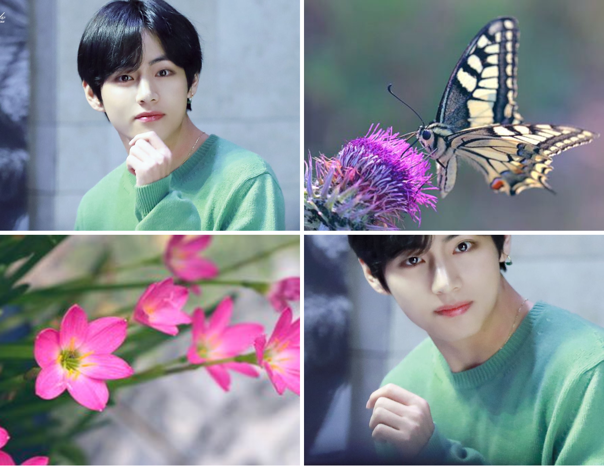 💜BTS with Aesthetic💜REST on X: 
