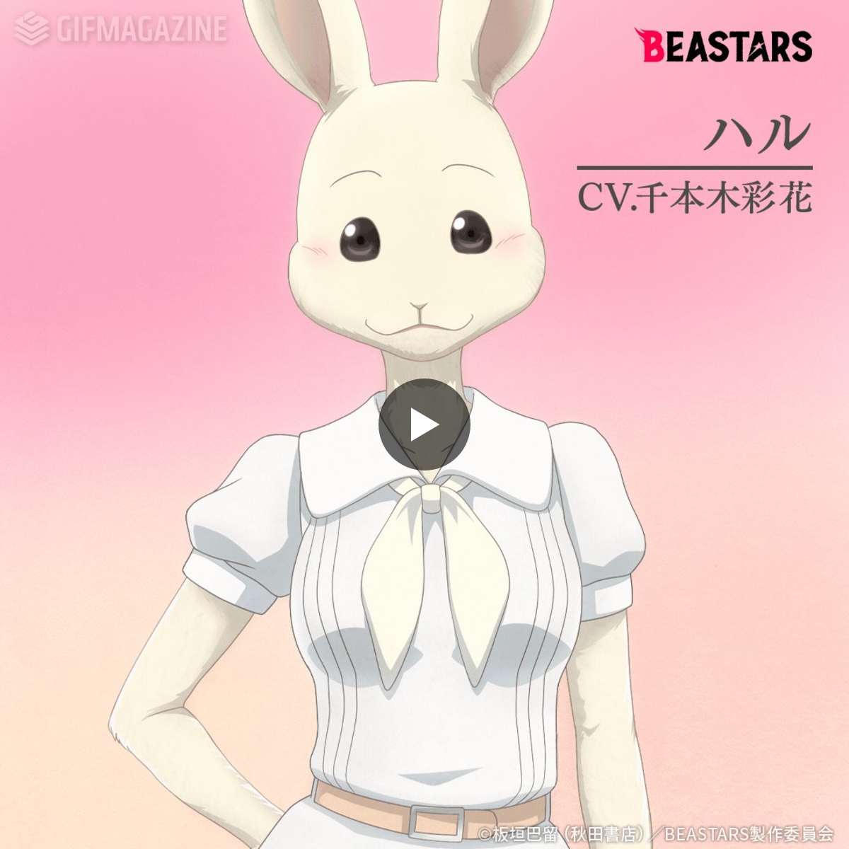ビー スターズうさぎ