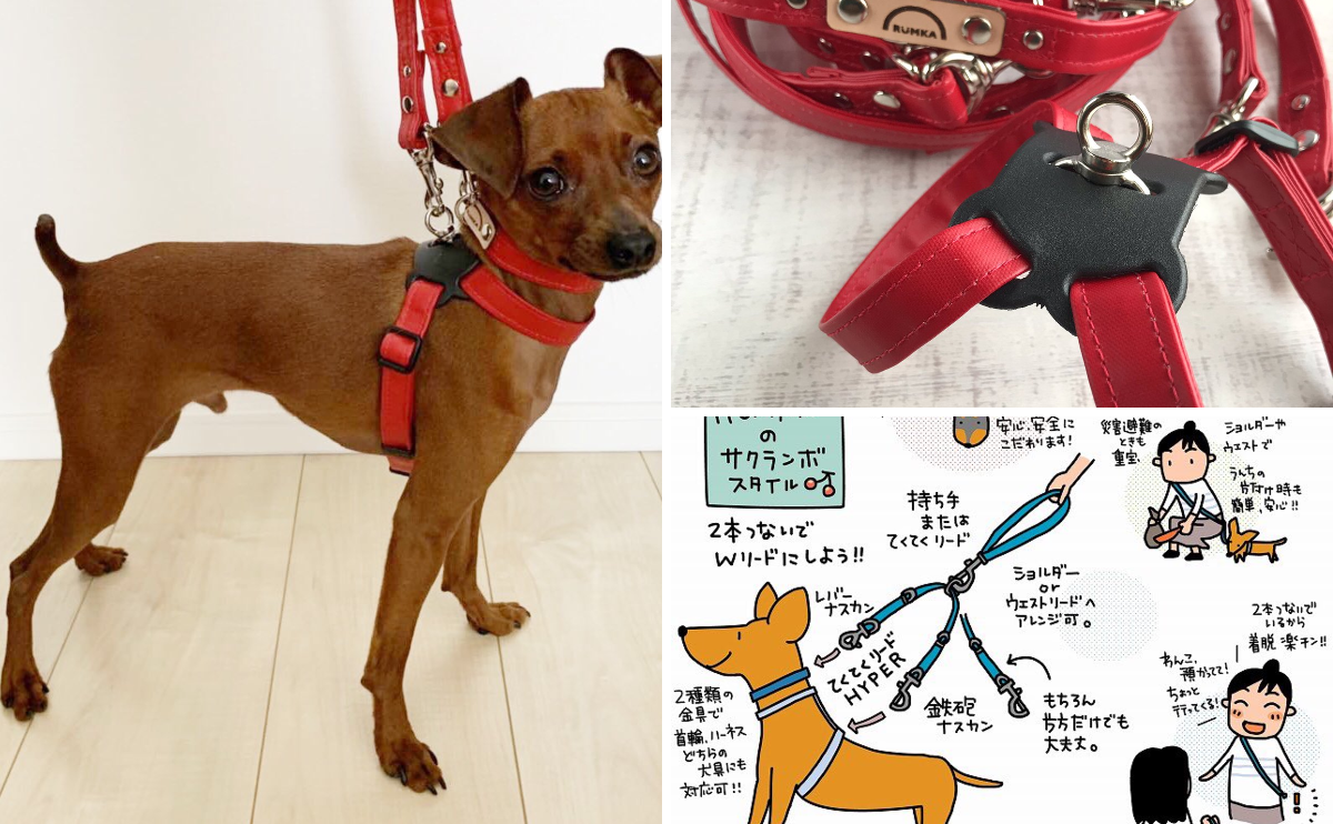 RUMKA （ルンカ）／光るリード／反射材／犬／公式／犬用品/イタグレ