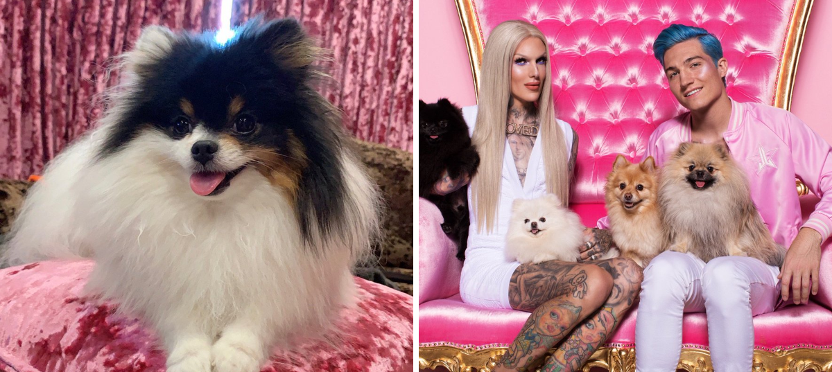 Jeffree Star on X: 