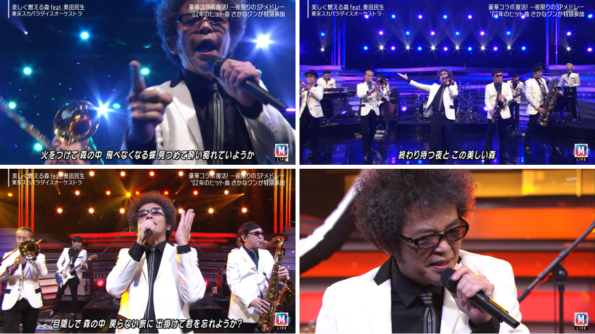 とびタヌキ on X: 