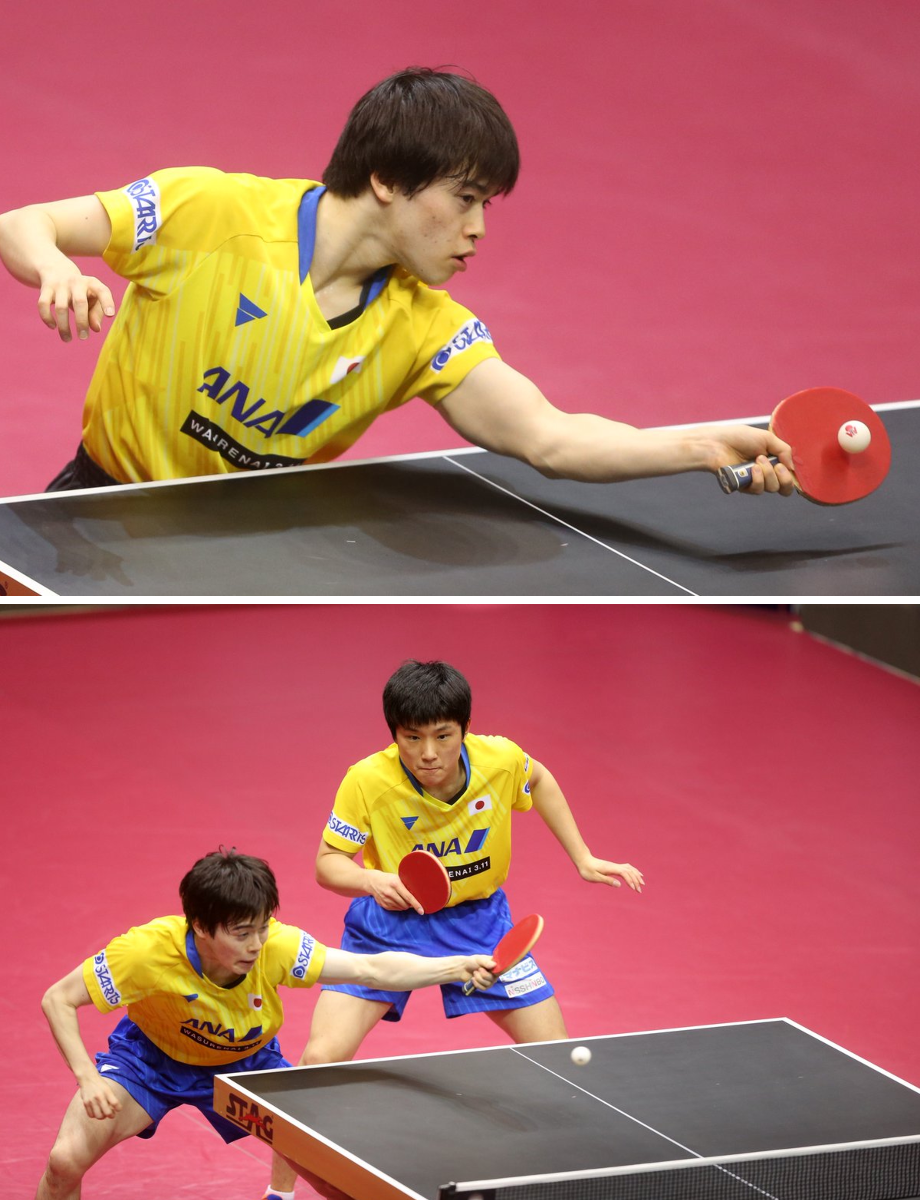 しろや │ 卓球用具ウォッチャー🏓 on X: 