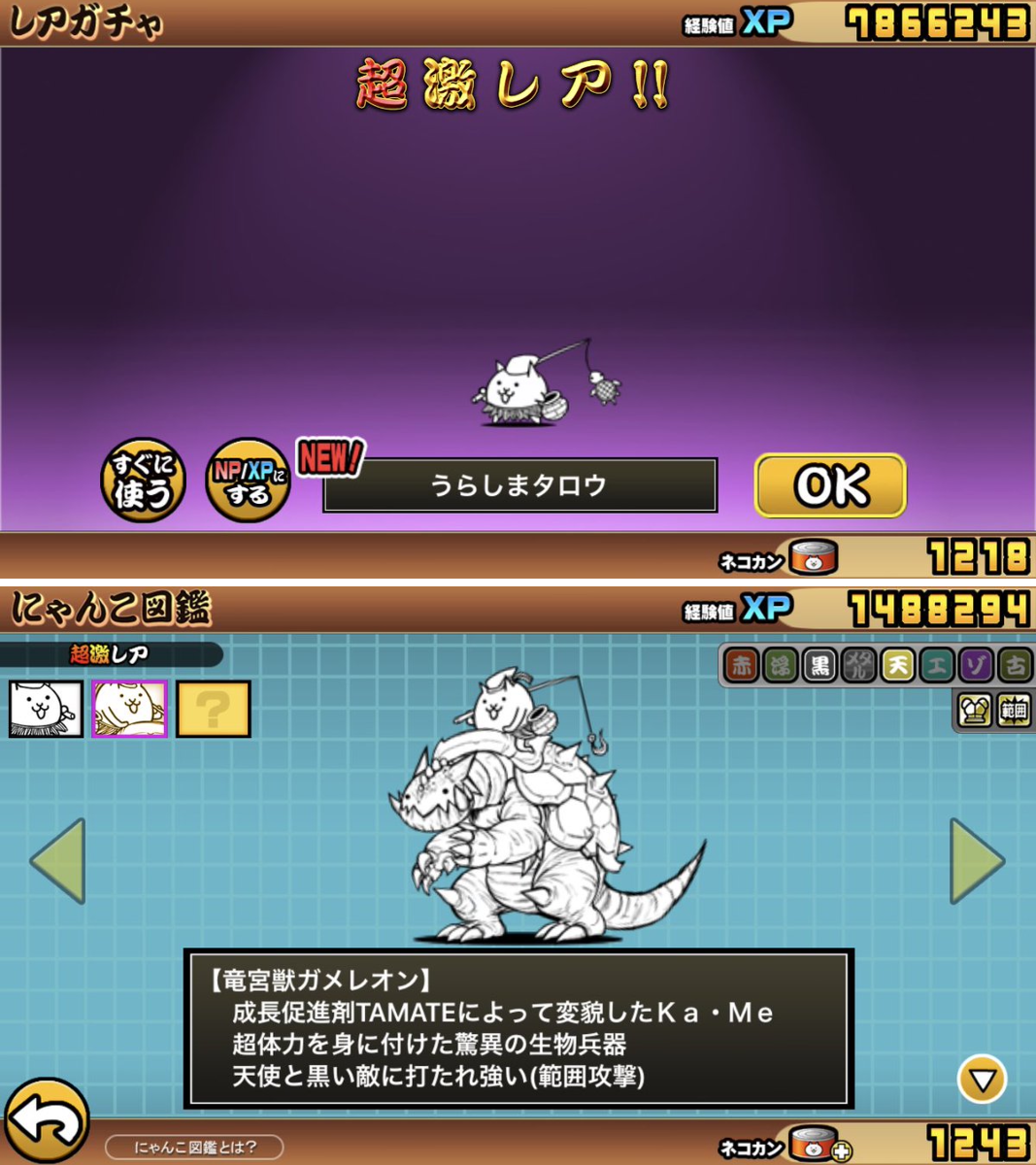 波美はるか(ナミ)🦖🦕 on X: 