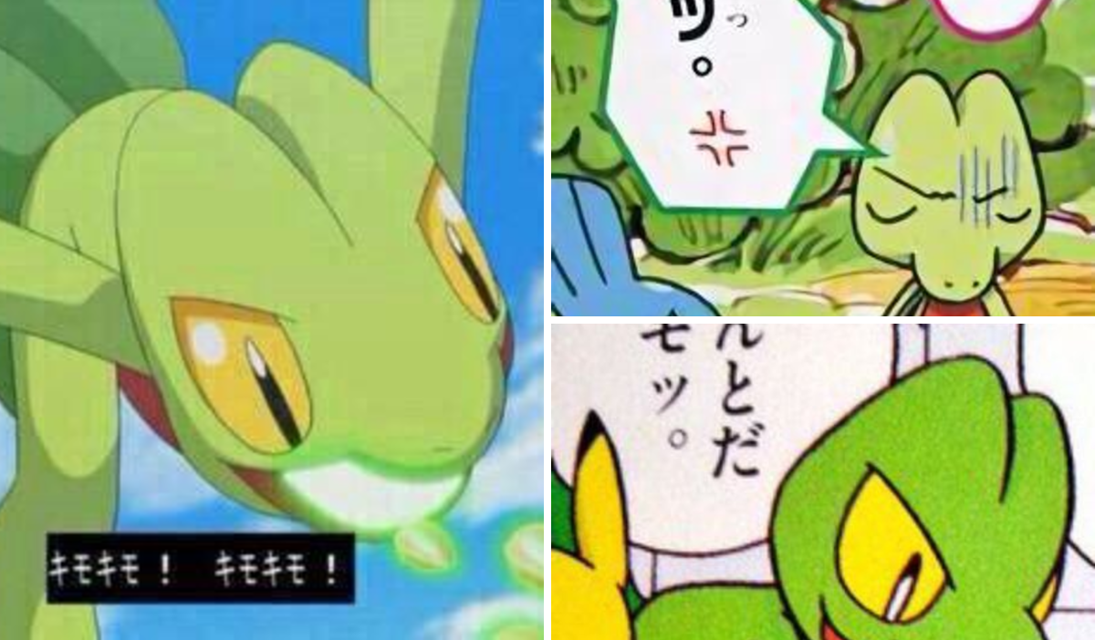 キモリ キモ