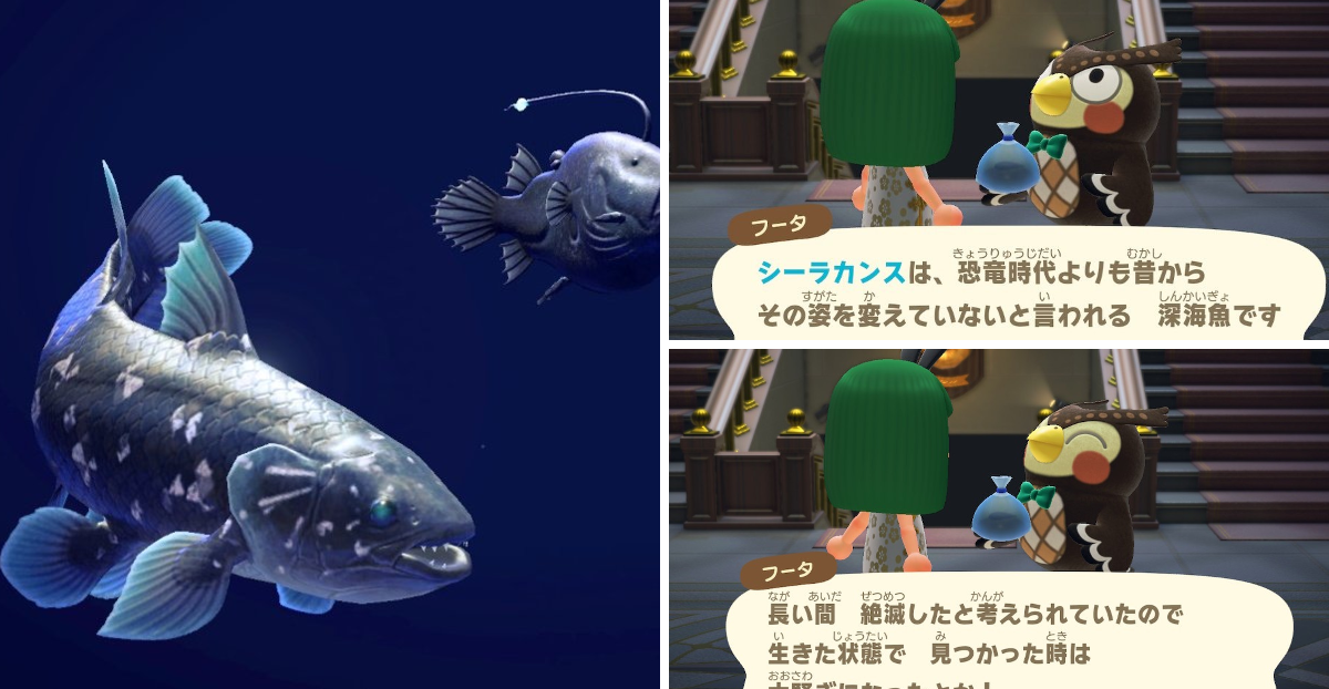 福島県観光物産交流協会 på X: 