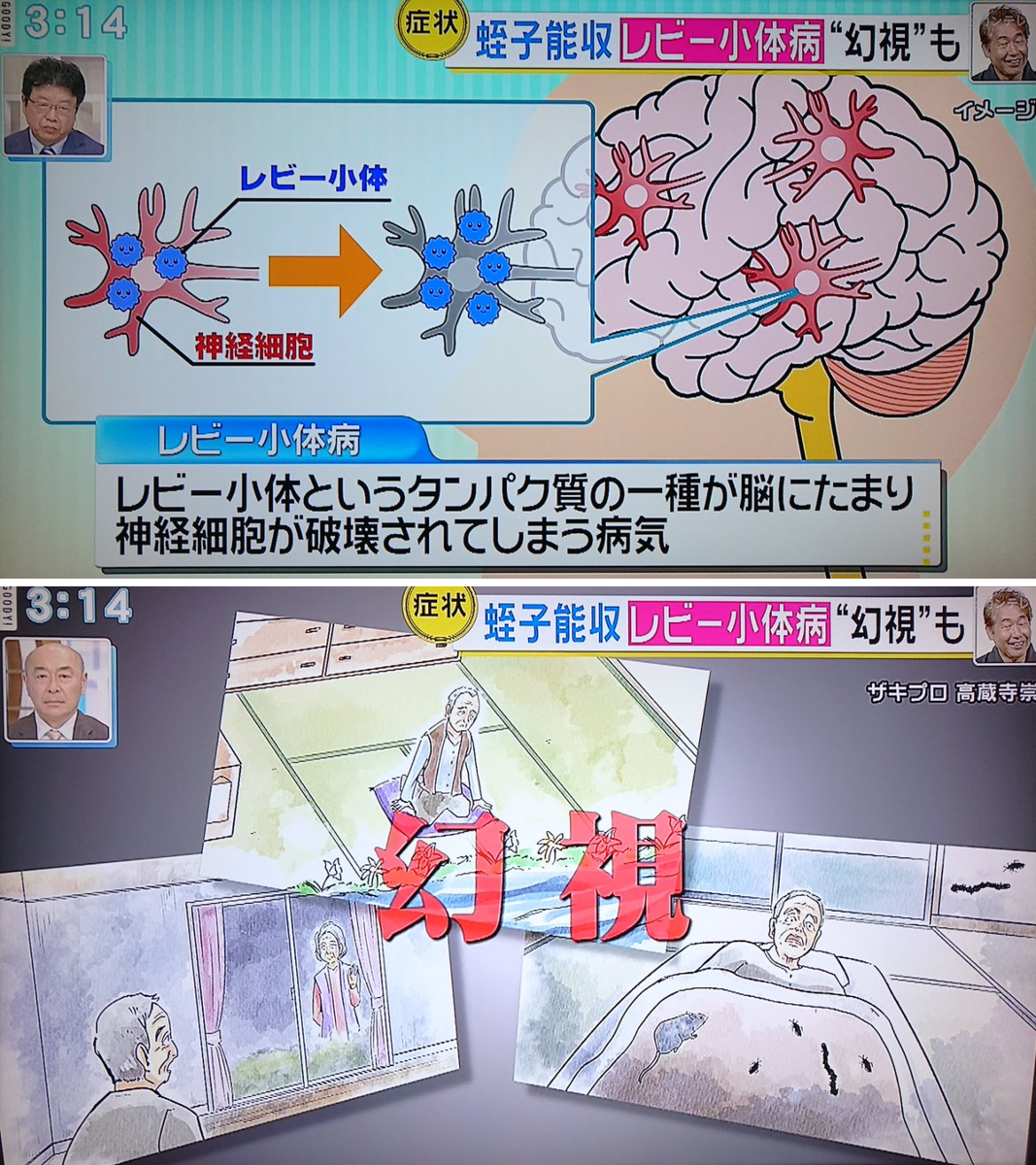 活動歴および当時の関連ビジュアル記録