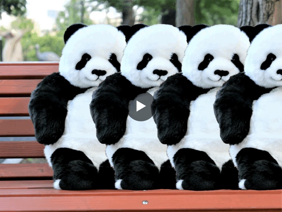 上野動物園［公式］ on X: 