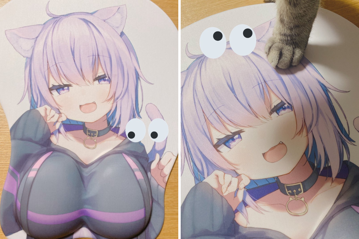 猫又おかゆ🍙 on X: 