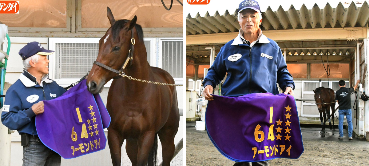 【美浦トレセン限定】アーモンドアイ ぬいぐるみ 調教ゼッケン仕様 日刊ゲンダイ 競馬 on X: 