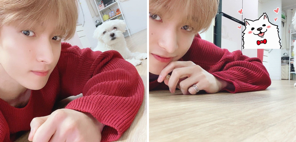 세븐틴(SEVENTEEN) on X: 
