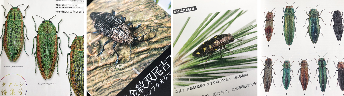 わわwa3 on X: 