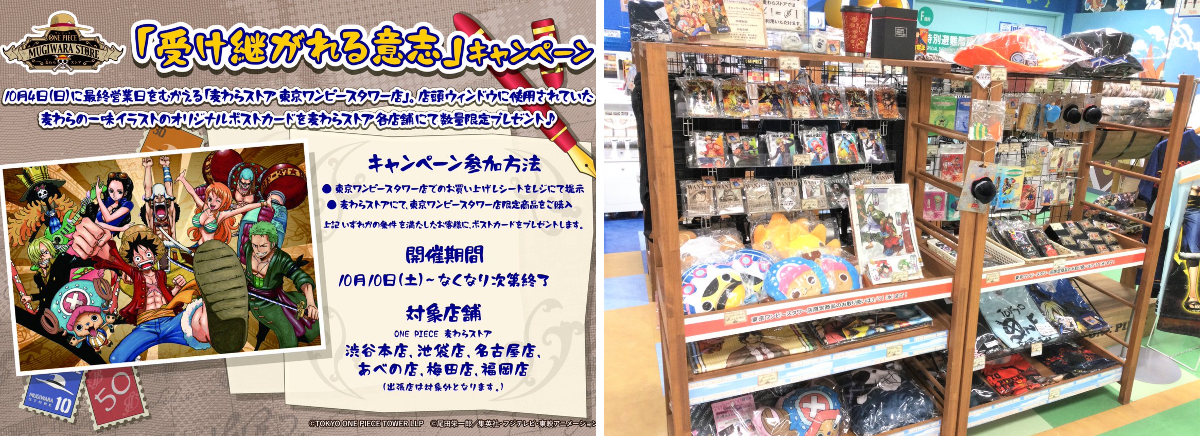 ONE PIECE 麦わらストア 名古屋店 on X: 