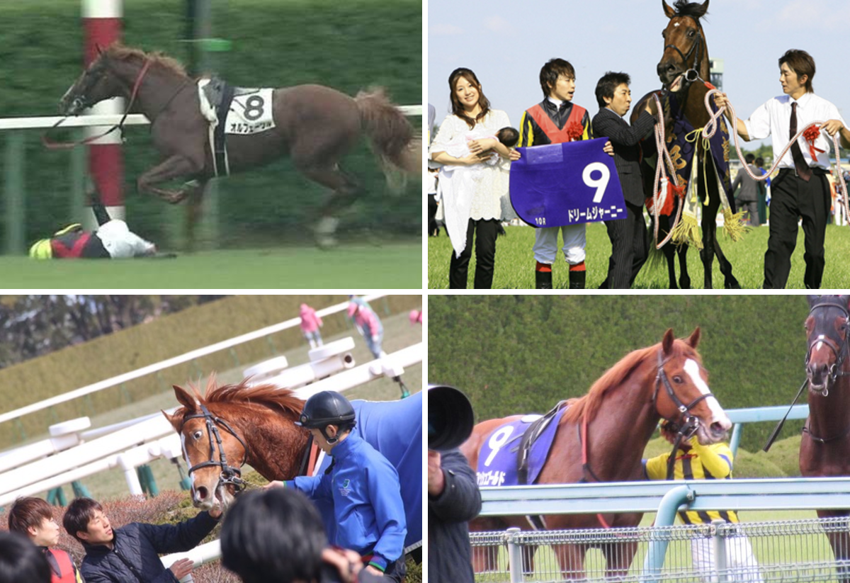 活動歴および当時の関連ビジュアル記録