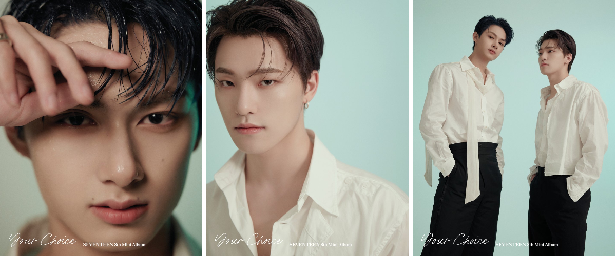 세븐틴(SEVENTEEN) on X: 