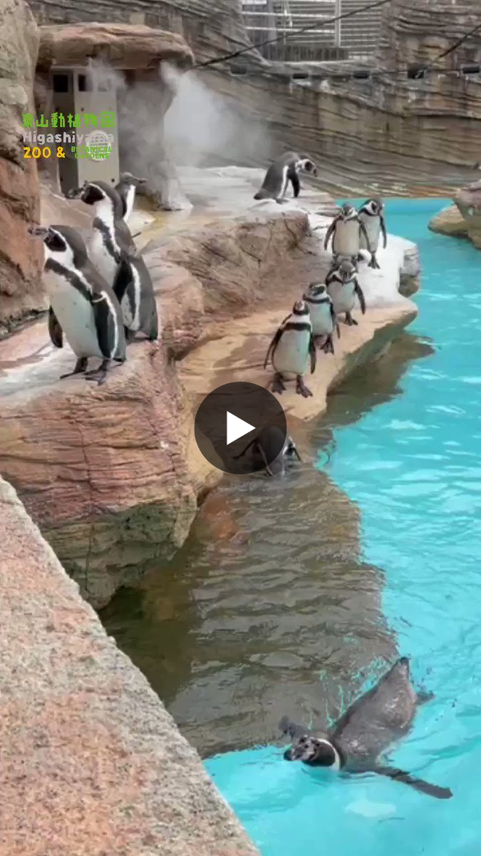 名古屋市東山動植物園 on X: 