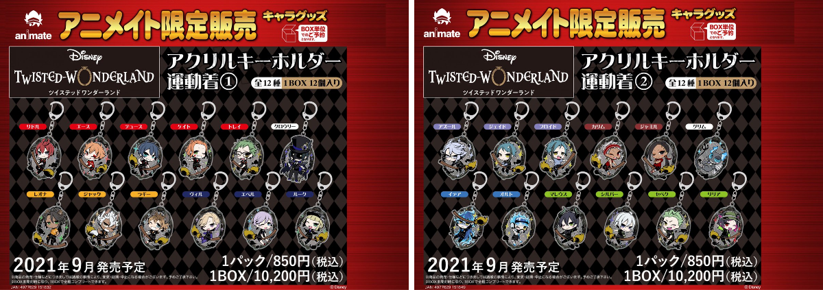 ツイステ　アクリルダイカットキーホルダー 株式会社アニメイト di X: 