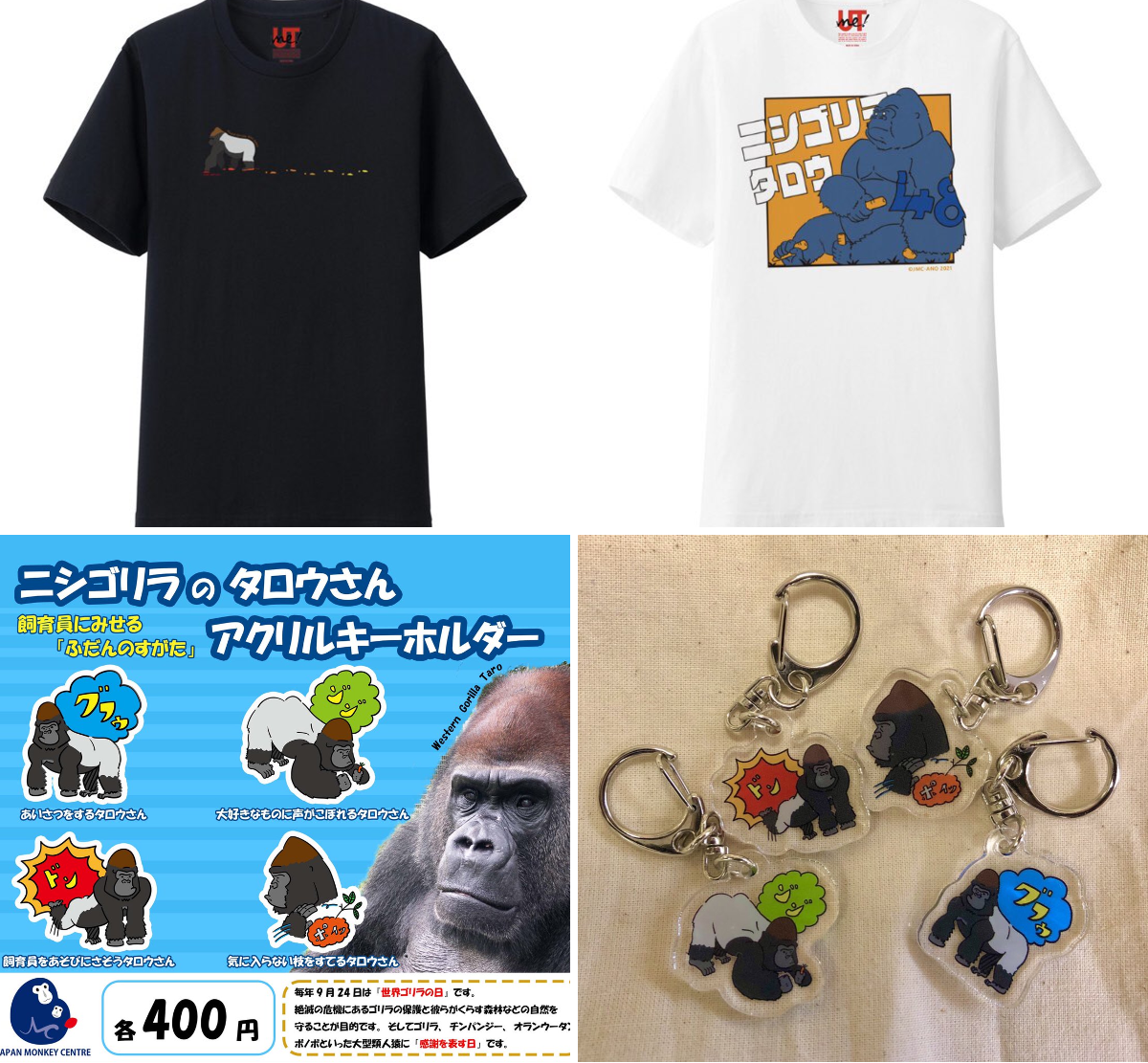 日本モンキーセンター（公式） on X: 