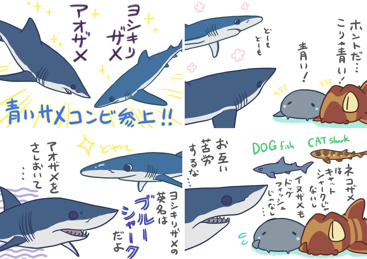 🦈EGPS🦈サメ描く奴 on X: 
