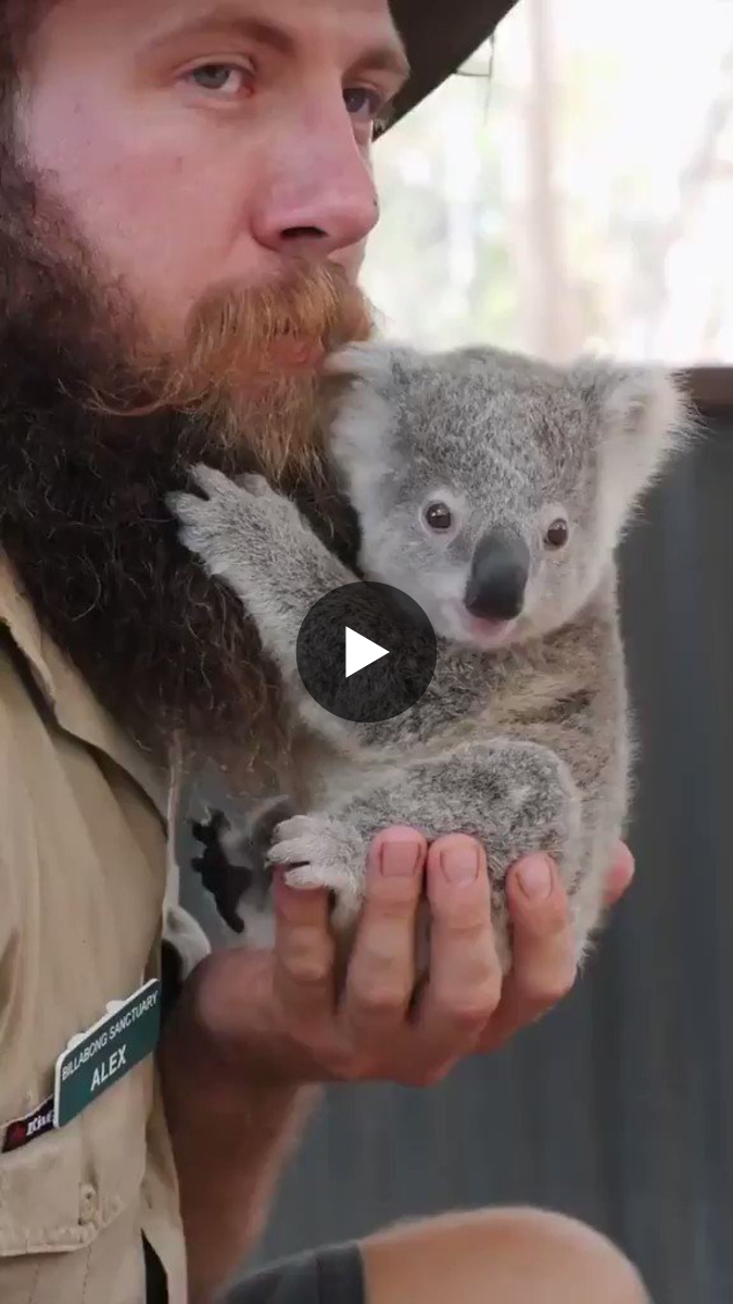 クイーンズランド州政府観光局🇦🇺 a X: 