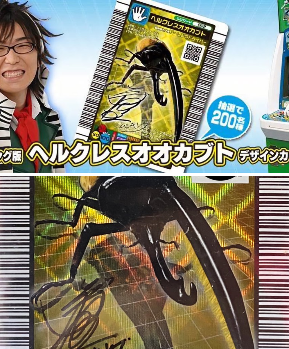 ヒロノブ on X: 