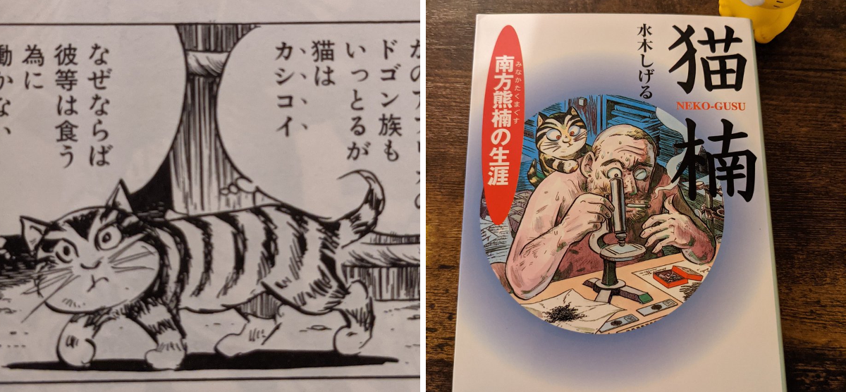 やじま@ねこおじ7・8巻発売中🐱 on X: 
