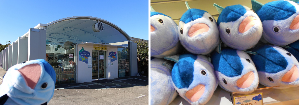 葛西臨海水族園［公式］ on X: 