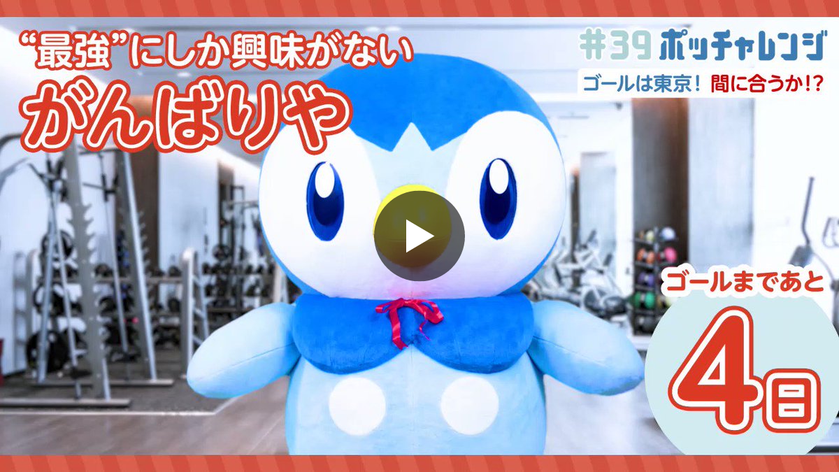 X-এ 【公式】プロジェクトポッチャマ💙: 