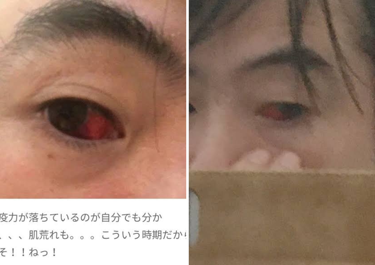 活動歴および当時の関連ビジュアル記録