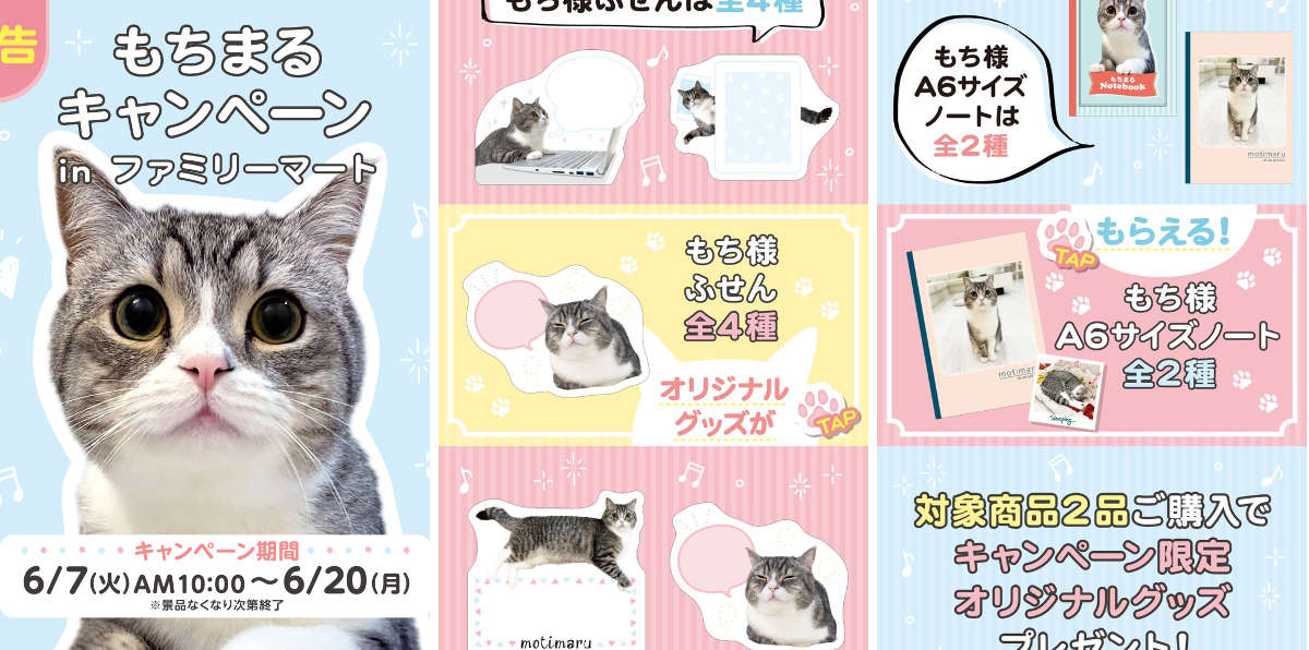 もち猫さま専用1 ファミリーマート on X: 