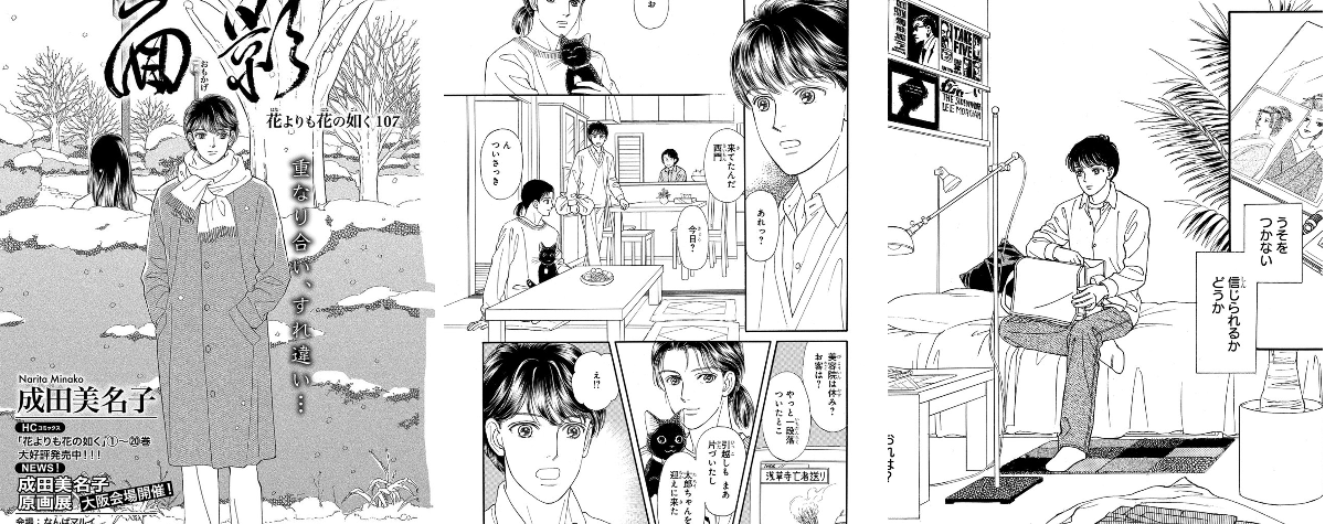 メロディ編集部(白泉社)✨ on X: 