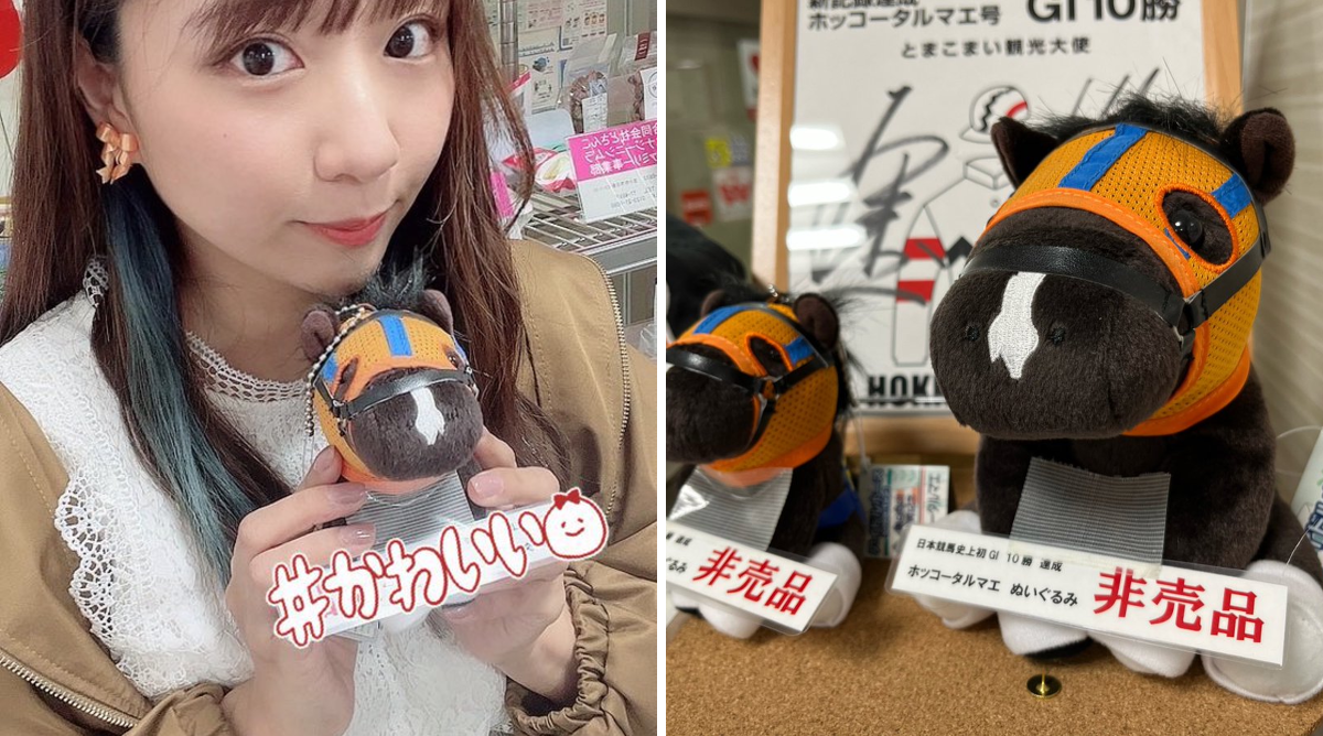PSA10 ホッコータルマエ　SSP レインボーサイン　菊池紗矢香 菊池紗矢香 on X: 