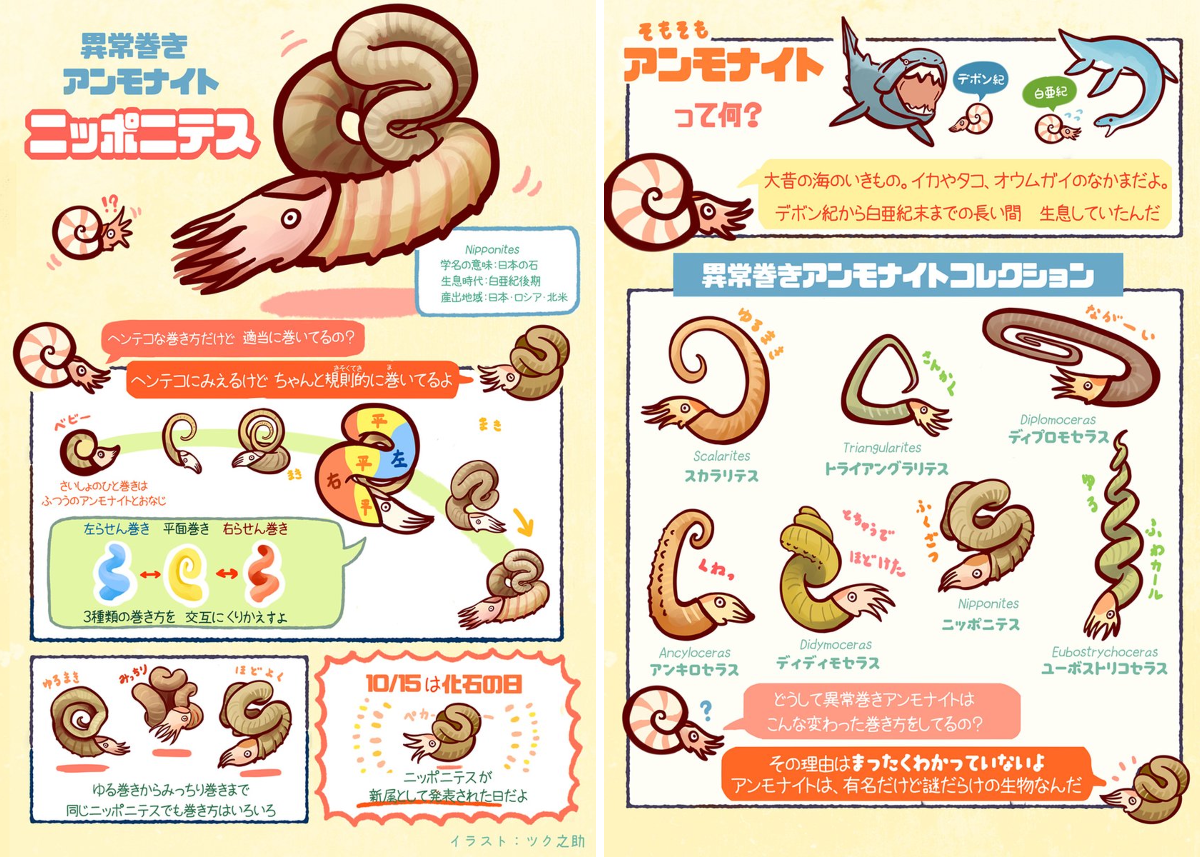 日本古生物学会(公式) on X: 