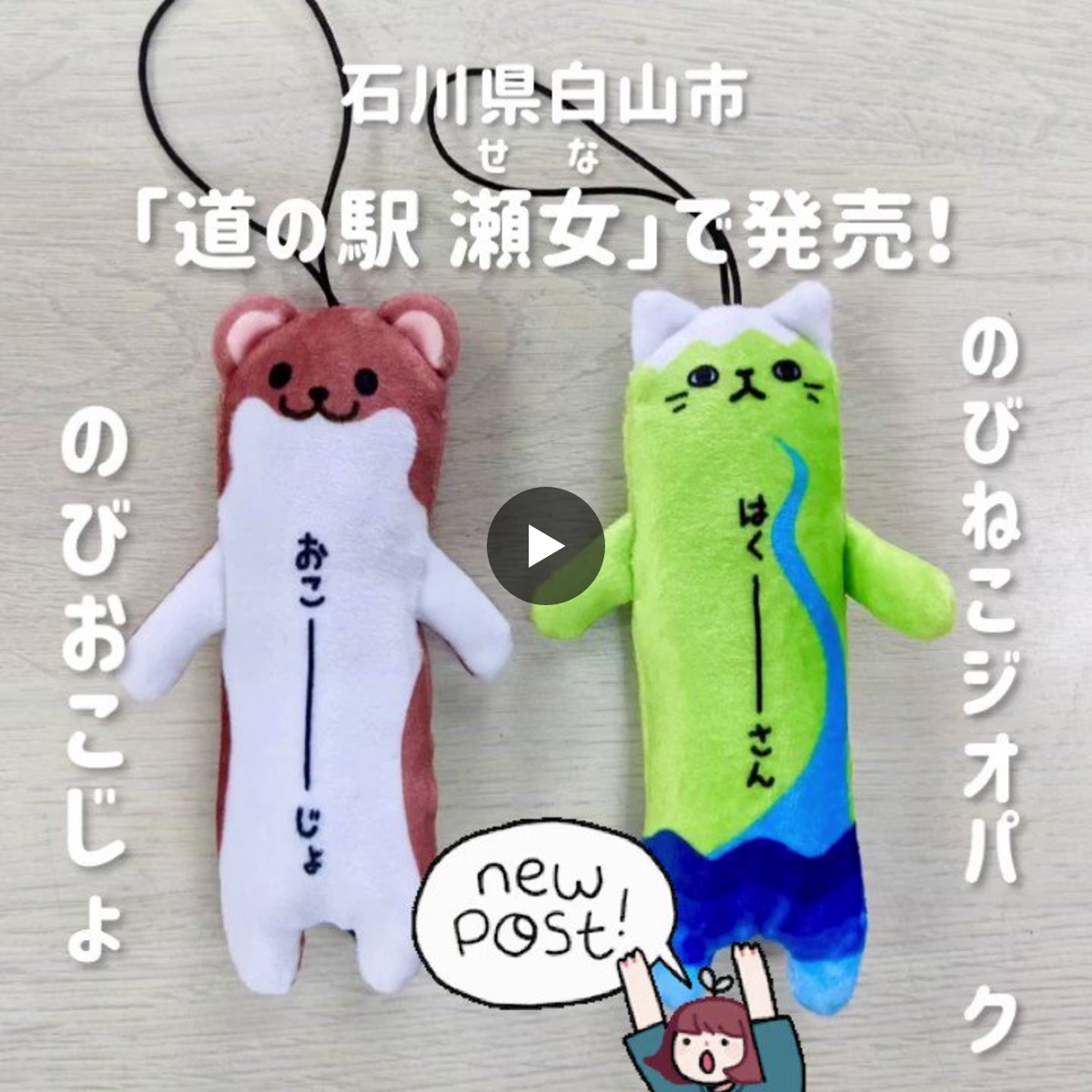 ちょびこ。 くじら猫 猫の不時着 野澤作蔵商店 on X: 
