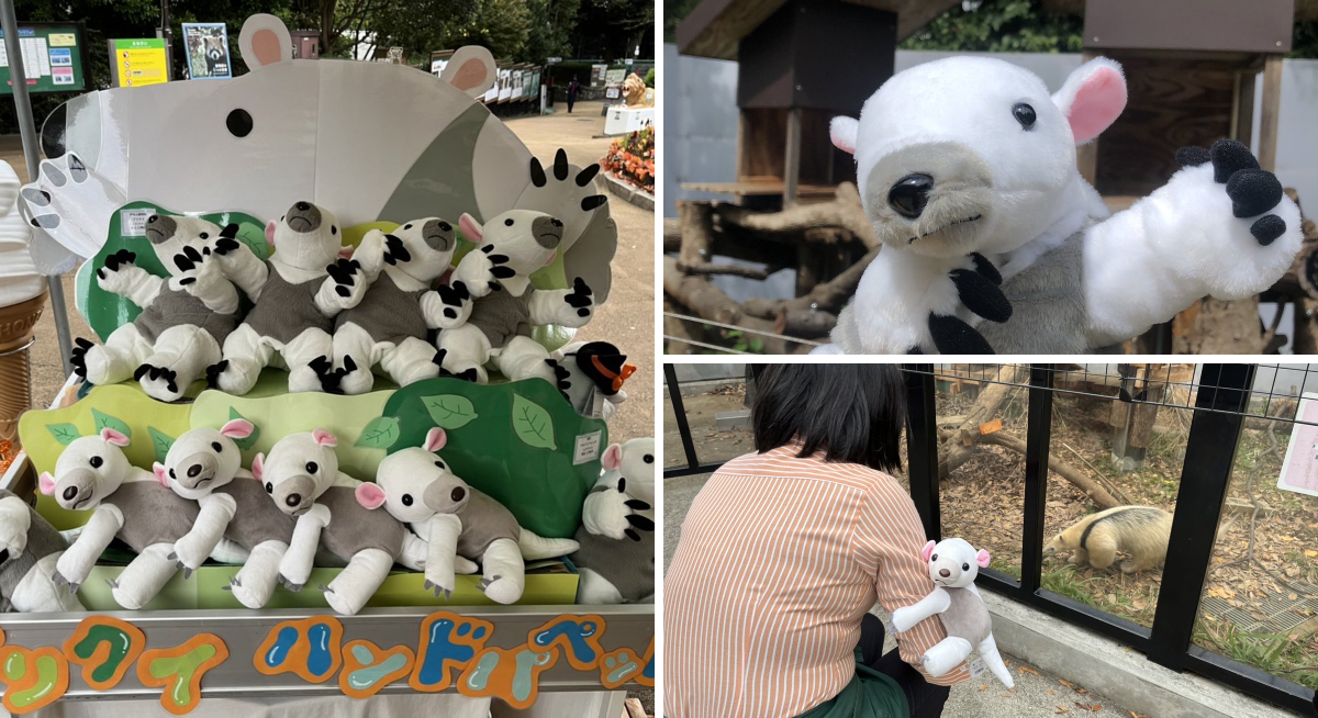 横浜市立野毛山動物園≪公式≫ az X-en: „11月29日は #世界アリクイの