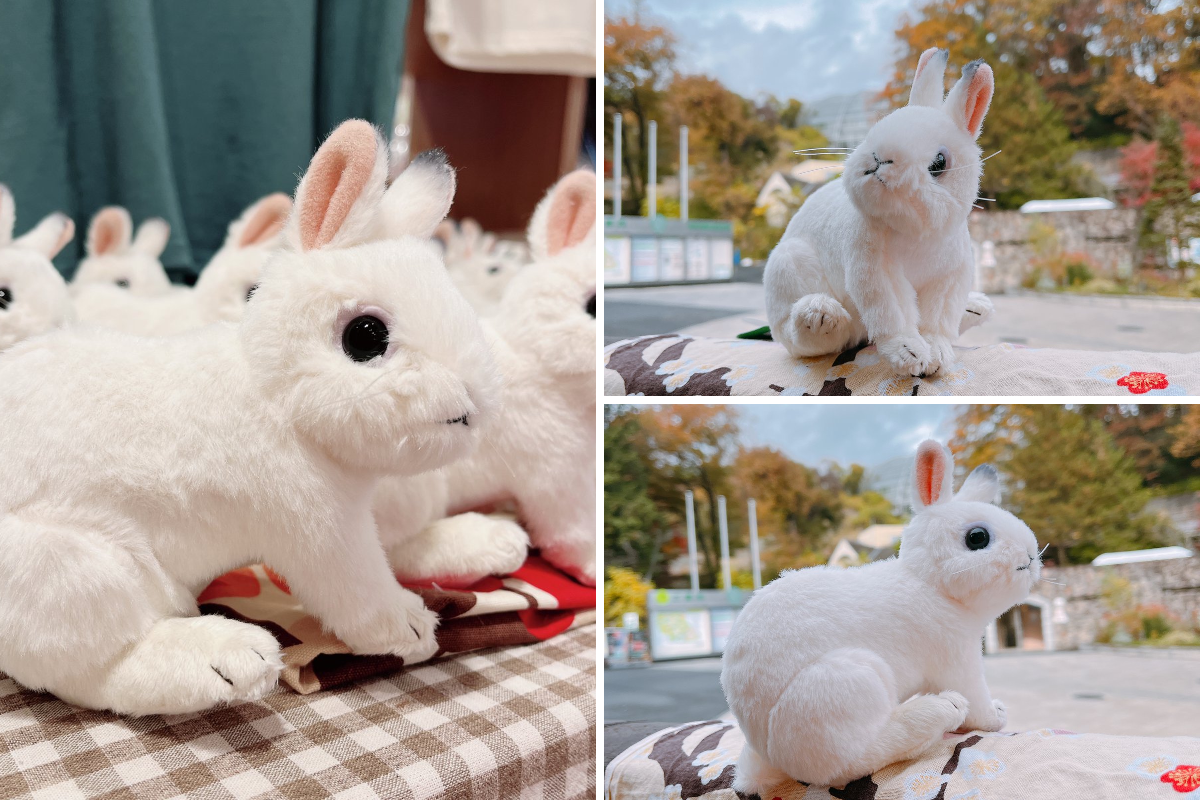 ぬいぐるみ 多種多様 色々あります！ 安くで売ります レア物 多摩動物公園［公式］ on X: 