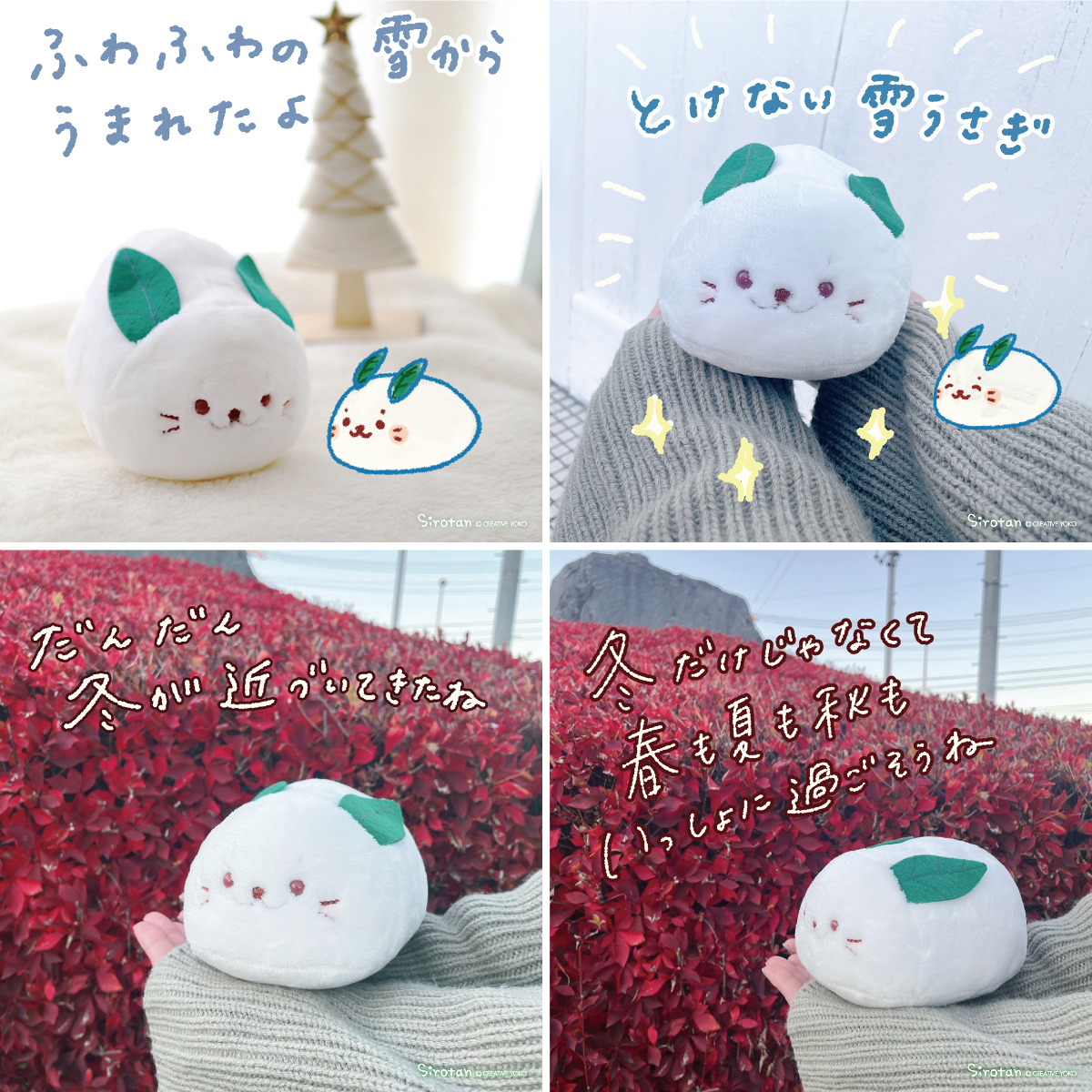 しろたんふんわりInfo on X: 
