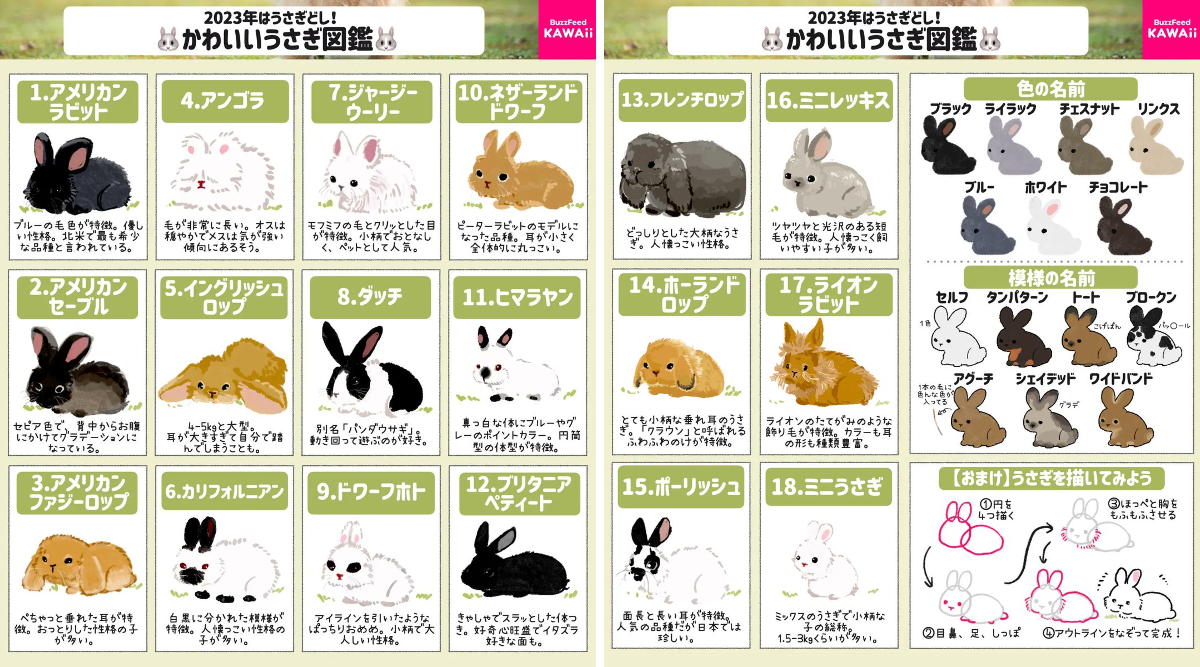のんちゃん🍓 on X: 