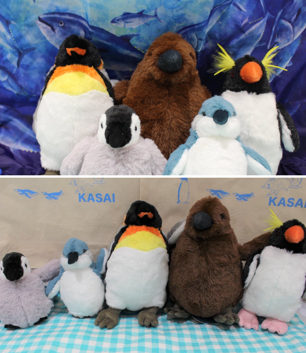 葛西臨海水族園［公式］ on X: 