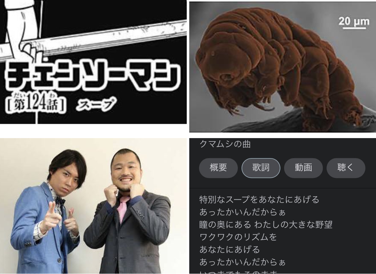 公の場での発言・インタビュー報道記録