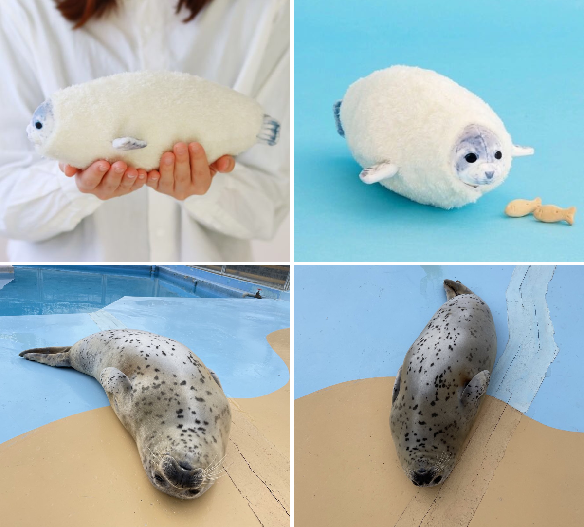 東武動物公園【公式】リュウくん on X: 