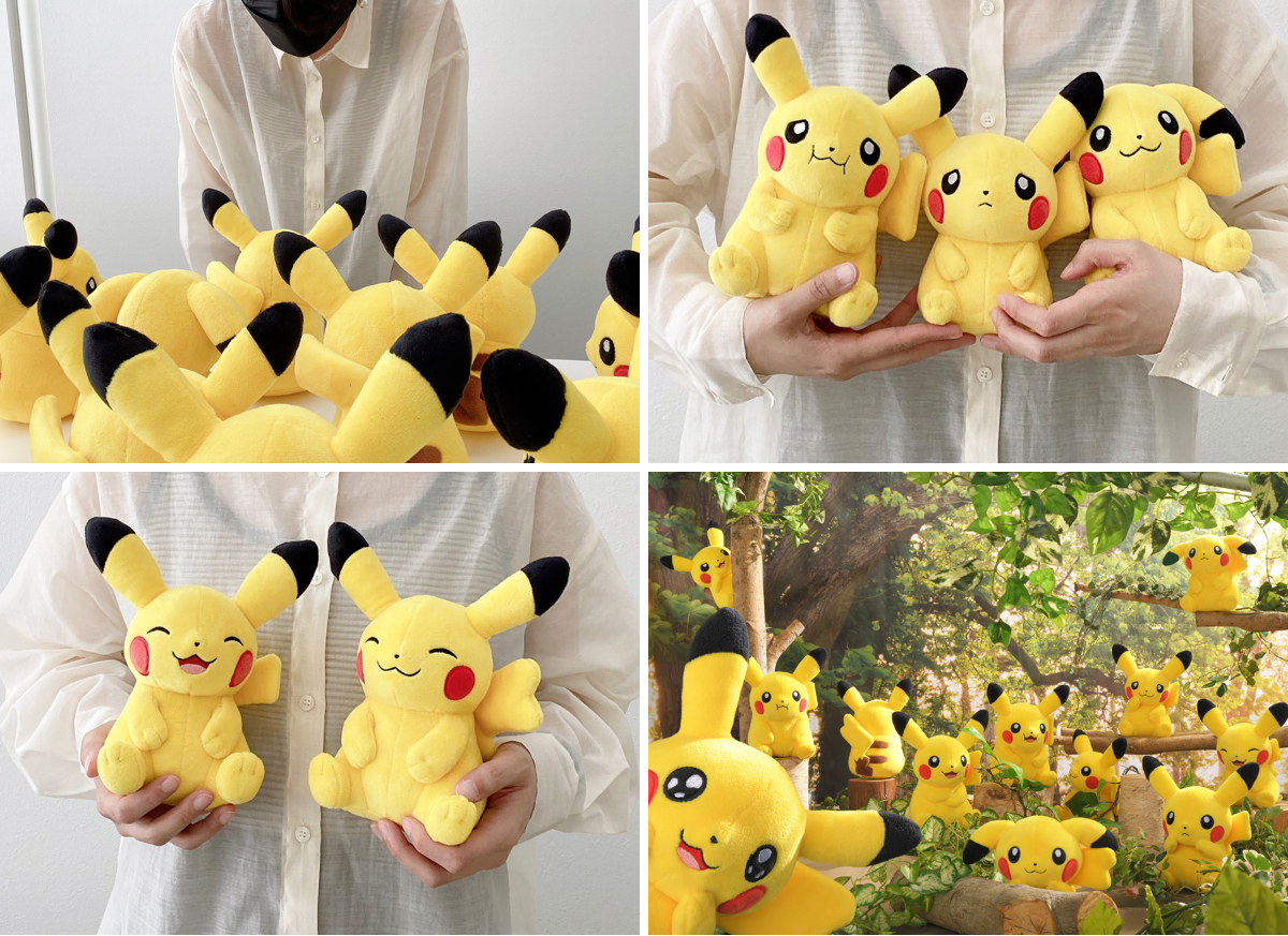 ポケモンだいすきクラブ編集部【公式】 on X: 
