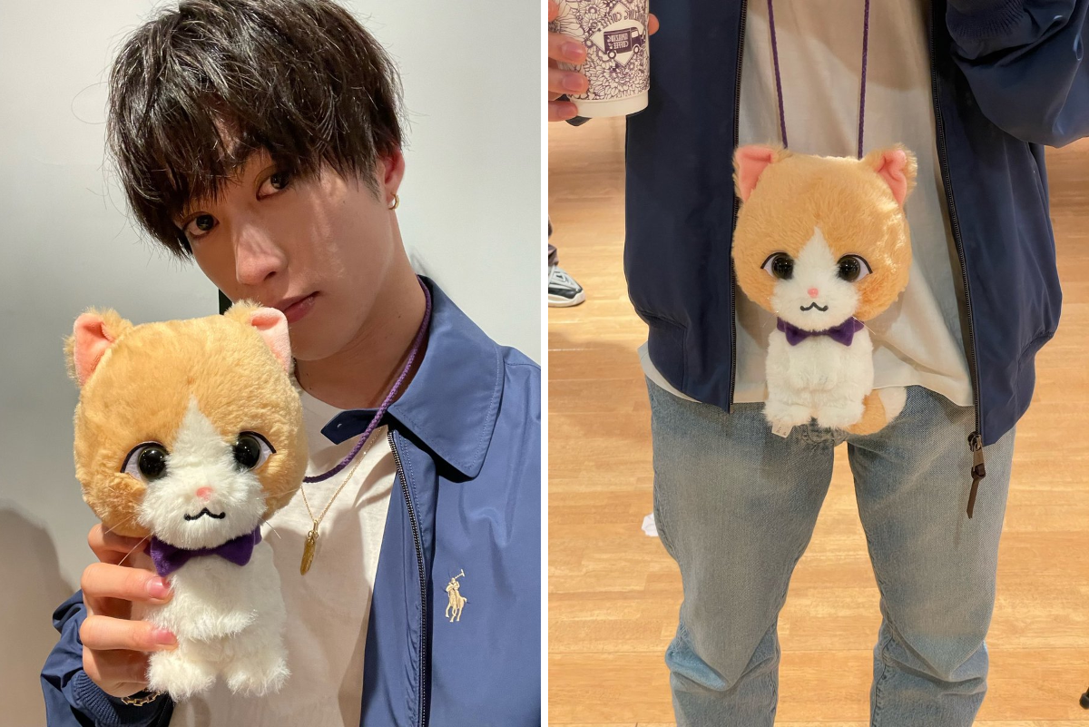 【即購入〇】藤原樹 プロデュース おでかけマース 藤原樹 on X: 