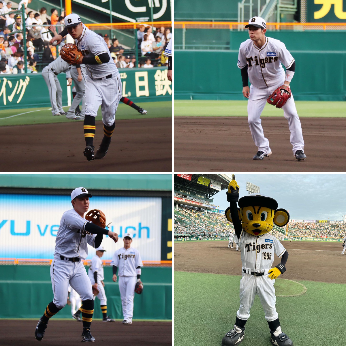 阪神タイガース on X: 