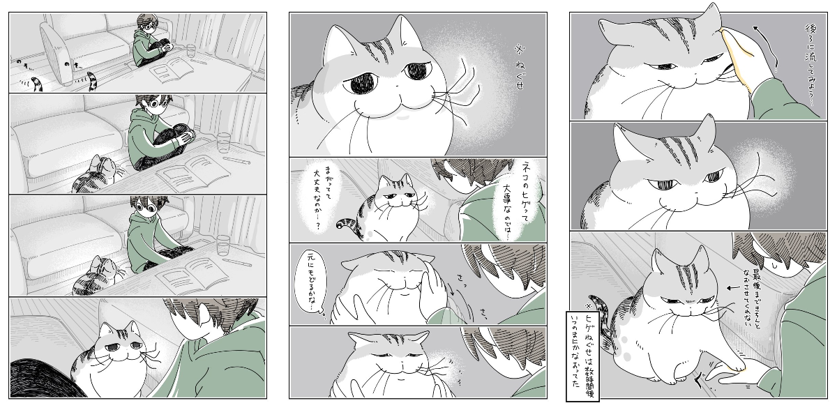 キュルZ on X: 